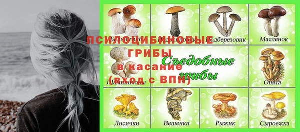 не бодяженный Абаза